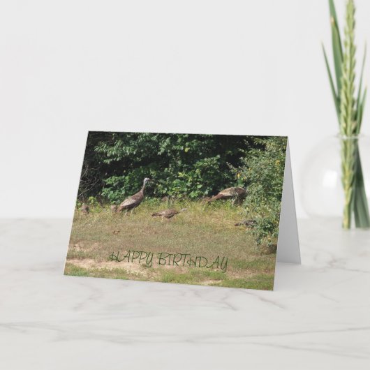 Wir alle Truthähne, Geburtstag Karte (Vorderseite)