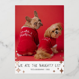 Wir aßen die Naughty List Pet Foil Holiday Card Folien Feiertagskarte