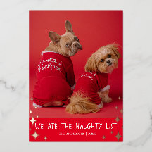 Wir aßen die Naughty List Pet Foil Holiday Card
