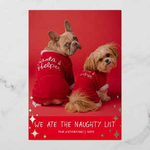 Wir aßen die Naughty List Pet Foil Holiday Card Folien Feiertagskarte