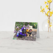 Wir Bee Lächeln Karte (Gelbe Blume)