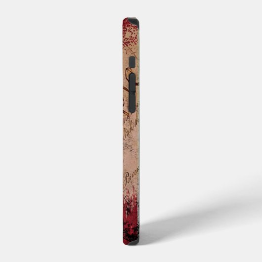 Wir Betsy Ross American Flag and Snake i iPhone Hülle (Linke Seite)