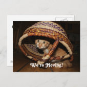 Wir bewegen Kat Ankündigungspostkarte (Vorne/Hinten)