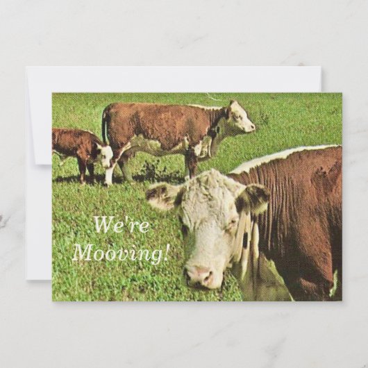 Wir bewegen uns! Ankündigung (Vorderseite)