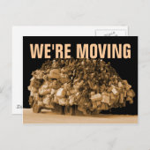 Wir bewegen uns ankündigungspostkarte (Vorne/Hinten)