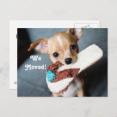 Wir bewegten Chihuahua Ankündigungspostkarte (Vorne/Hinten)