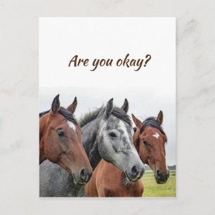 Wir denken an euch Pferde zu wissen, dass es euch  Postkarte