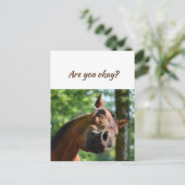 Wir denken über euch Pferde sind in Ordnung? Postkarte (Stehend Vorderseite)