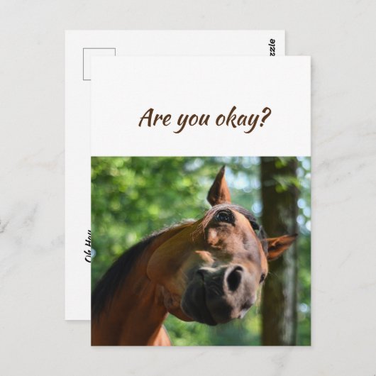 Wir denken über euch Pferde sind in Ordnung? Postkarte (Vorne/Hinten)