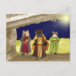 Wir drei Katzen Postkarte