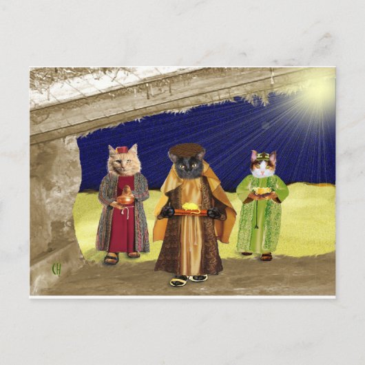 Wir drei Katzen Postkarte (Vorderseite)