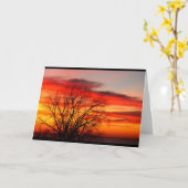 Wir gehören zum gleichen Familienbaum zum Geburtst Karte (Gelbe Blume)