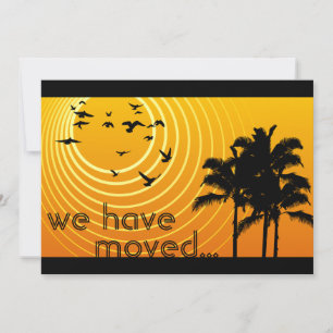 wir haben Ankündigung verschoben : sunscene
