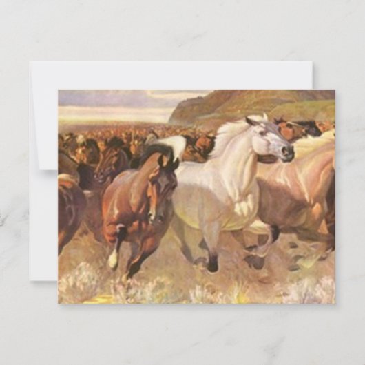 Wir haben bewegte Pferde Mustangs unterwegs Ankündigung (Vorderseite)