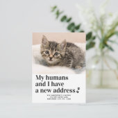 Wir haben das Foto "Cat Moving" für die Adresse ve Ankündigungspostkarte (Stehend Vorderseite)