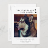 Wir haben das Hunde-Foto umgezogen und den neuen A Ankündigungspostkarte (Vorne/Hinten)