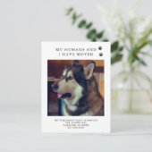 Wir haben das Hunde-Foto umgezogen und den neuen A Ankündigungspostkarte (Stehend Vorderseite)
