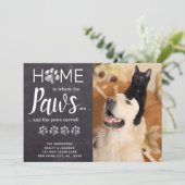 Wir haben das neue Foto "Cat Dog Pet" verschoben Ankündigung (Stehend Vorderseite)