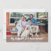 Wir haben das Personalisierte Foto von Haustieren  Ankündigung (Vorderseite)