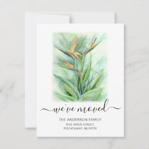 Wir haben den Flora-Vogel des Paradiesnamens beweg Ankündigung