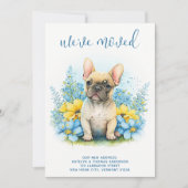 Wir haben den französischen Bulldog-Welpenhund bew Ankündigung (Vorderseite)