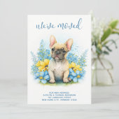 Wir haben den französischen Bulldog-Welpenhund bew Ankündigung (Stehend Vorderseite)