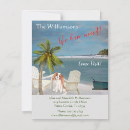 Wir haben den Hund Ocean Beach Move Ankündigung