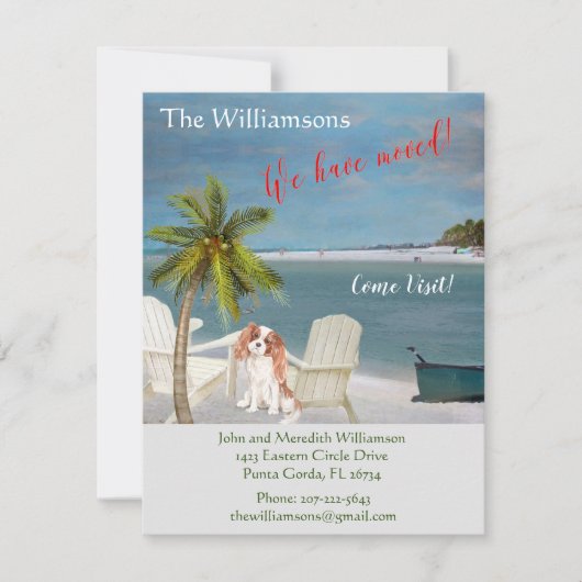 Wir haben den Hund Ocean Beach Move Ankündigung (Vorderseite)