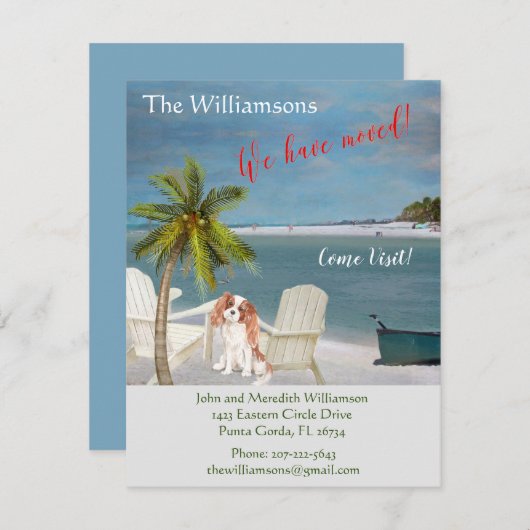 Wir haben den Hund Ocean Beach Move Ankündigung (Vorne/Hinten)