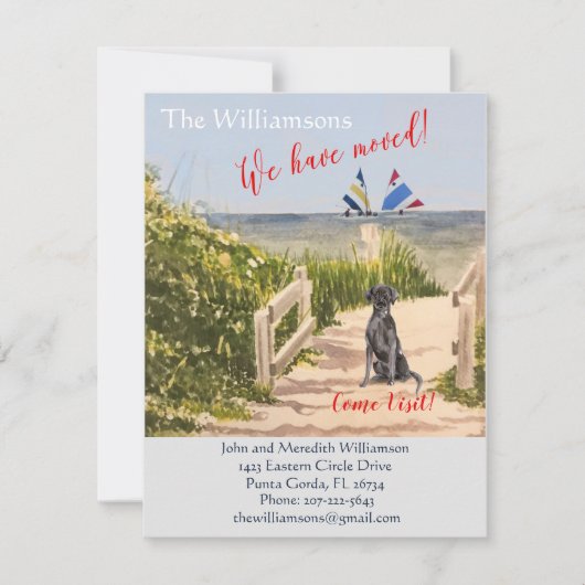 Wir haben den Hund Ocean Beach Move Ankündigung (Vorderseite)