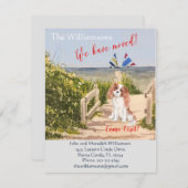 Wir haben den Hund Ocean Beach Move Ankündigung (Vorne/Hinten)