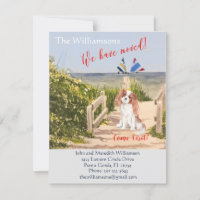 Wir haben den Hund Ocean Beach Move