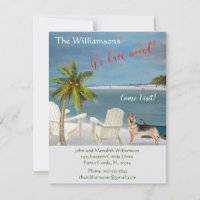 Wir haben den Hund Ocean Beach Move