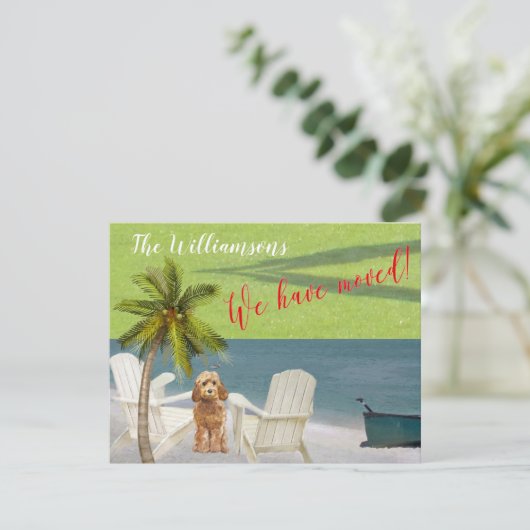 Wir haben den Umzug des Dog Ocean Beach verschoben Ankündigung (Stehend Vorderseite)