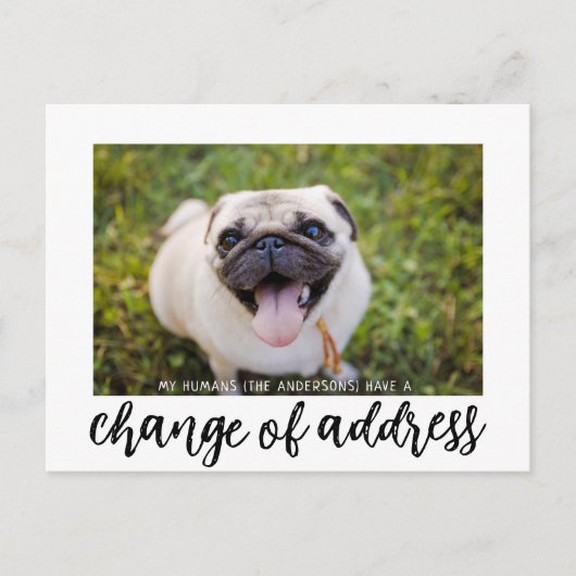 Wir haben die Änderung der Adresse Hund Foto Postk Postkarte (Vorderseite)