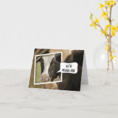 Wir haben die Ankündigung mit Kuh verschoben (Gelbe Blume)