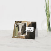 Wir haben die Ankündigung mit Kuh verschoben (Vorderseite)