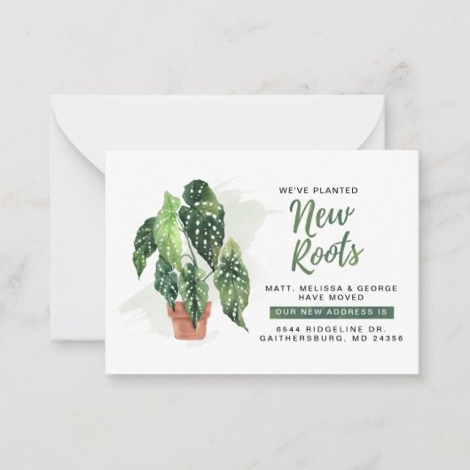 Wir haben die Ankündigung "New Roots Moving" gepla (Vorderseite)