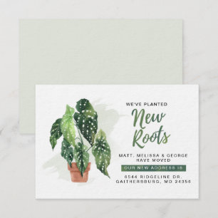 Wir haben die Ankündigung "New Roots Moving" gepla