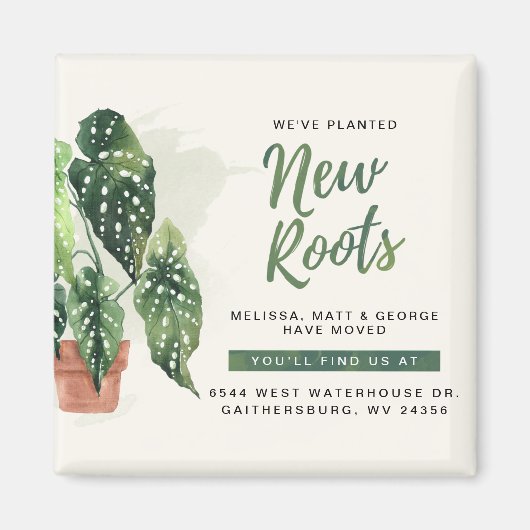 Wir haben die Ankündigung "Planted New Roots Movin Magnet (Vorne)