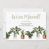 Wir haben die Ankündigung über die Wasserfarbenbew (Vorderseite)