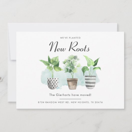 Wir haben die Ankündigung von Boho New Roots Movin (Vorderseite)