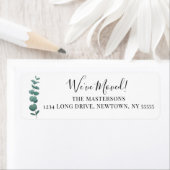 Wir haben die Eukalyptus-Rücksendeadresse verschob (Insitu)