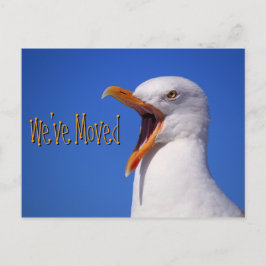 Wir haben die Funny Seagull Joke Postcard verschob Ankündigungspostkarte