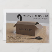 Wir haben die Katze in eine Box-Bewegungs-Ankündig (Vorderseite)