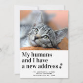 Wir haben die neue Adresse Foto Cat Moving Ankündigung (Vorderseite)