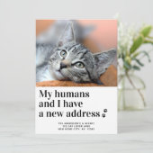 Wir haben die neue Adresse Foto Cat Moving Ankündigung (Stehend Vorderseite)
