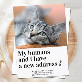 Wir haben die neue Adresse Foto Cat Moving Ankündigung