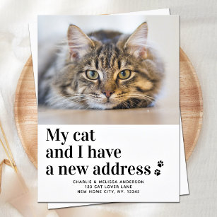 Wir haben die neue Adresse Foto Cat Moving Postkarte