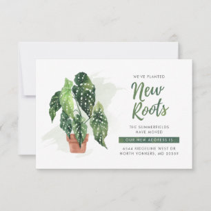 Wir haben die neue Roots-Boho-Bewegungsankündigung